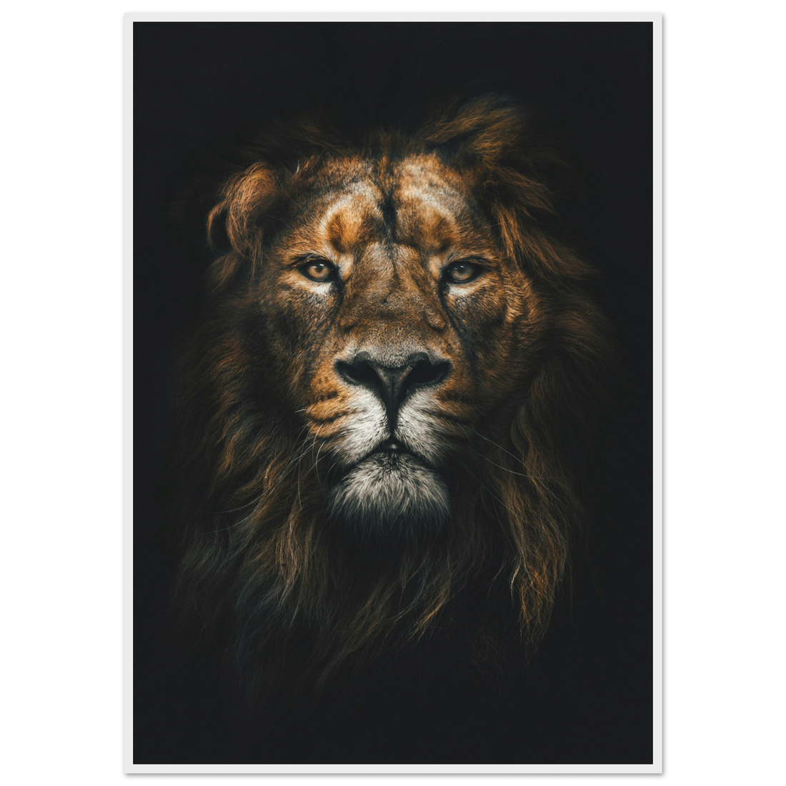 a88184f9-596d-49c5-9563-854cab5a0680